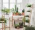 10 formas de transformar tu hogar con la decoración de interior con plantas