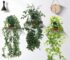 10 plantas de interior que cuelgan y llenarán tu hogar de vida