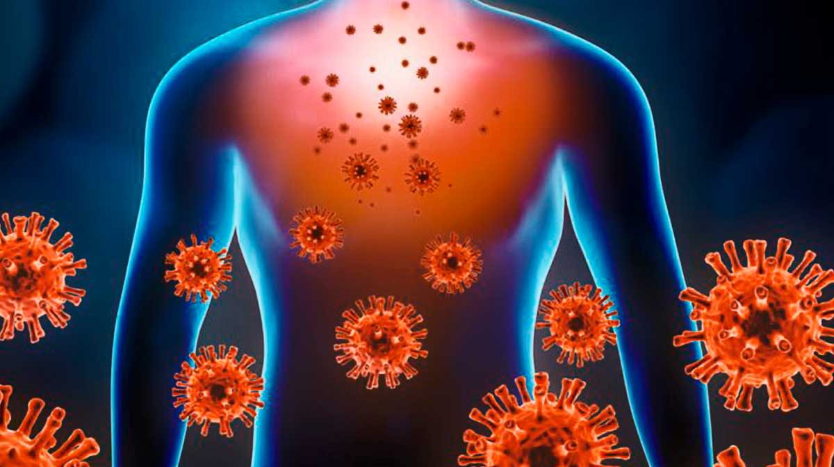 6 medidas de protección de la salud y el cuidado del aroma para fortalecer su sistema inmunológico con medios naturales
