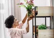 Agrega color y vida a tu hogar con estas plantas de interior con flores