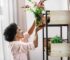 Las mejores plantas con flores para decorar el interior de tu hogar