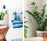 Plantas de interior más fáciles de cuidar para tener un hogar verde y acogedor