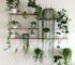 Transforma tu hogar con la belleza de las plantas de interior en estantes decorativos