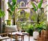 Transforma tu hogar en un oasis tropical con estas plantas de interior