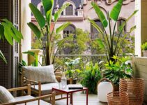 Transforma tu hogar en un oasis verde: Descubre las mejores plantas para interior de casa