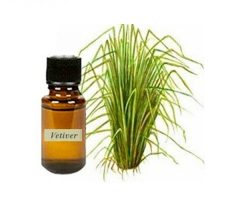 vetiver aceite